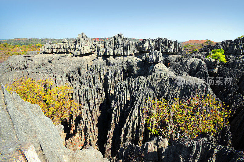 马达加斯加的Tsingy de Bemaraha